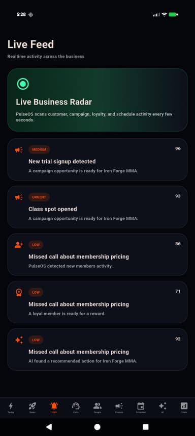 Project preview