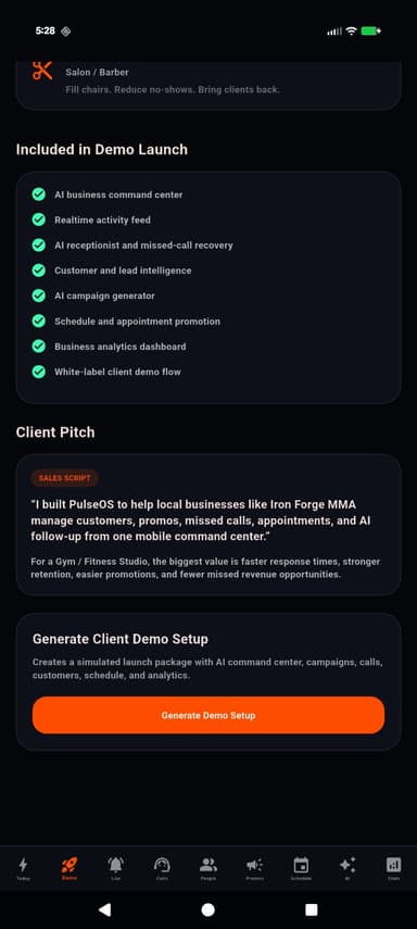 Project preview