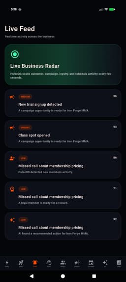 PulseOS mini preview