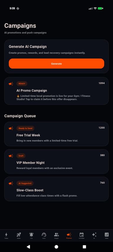 Project preview