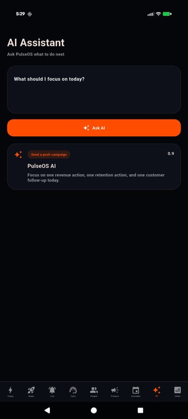 Project preview